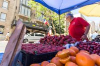 Ende der City Tour, gegenüber unseres zentral gelegenen Hotels werden Erdbeeren 3x so groß wie bei uns verkauft und sie schmecken.